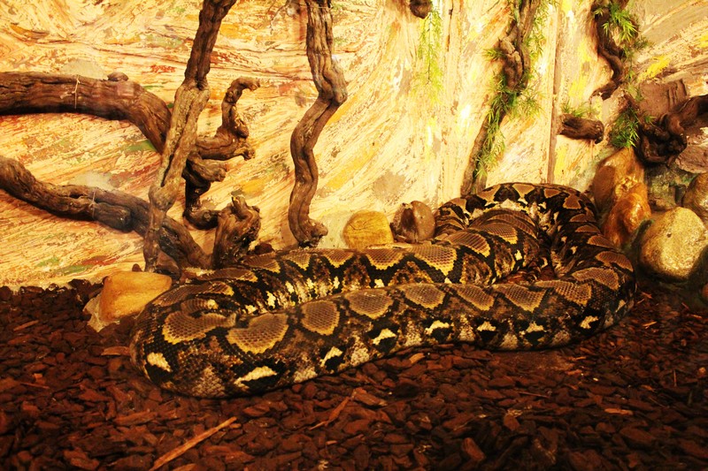 Le zoo de Mescoulès