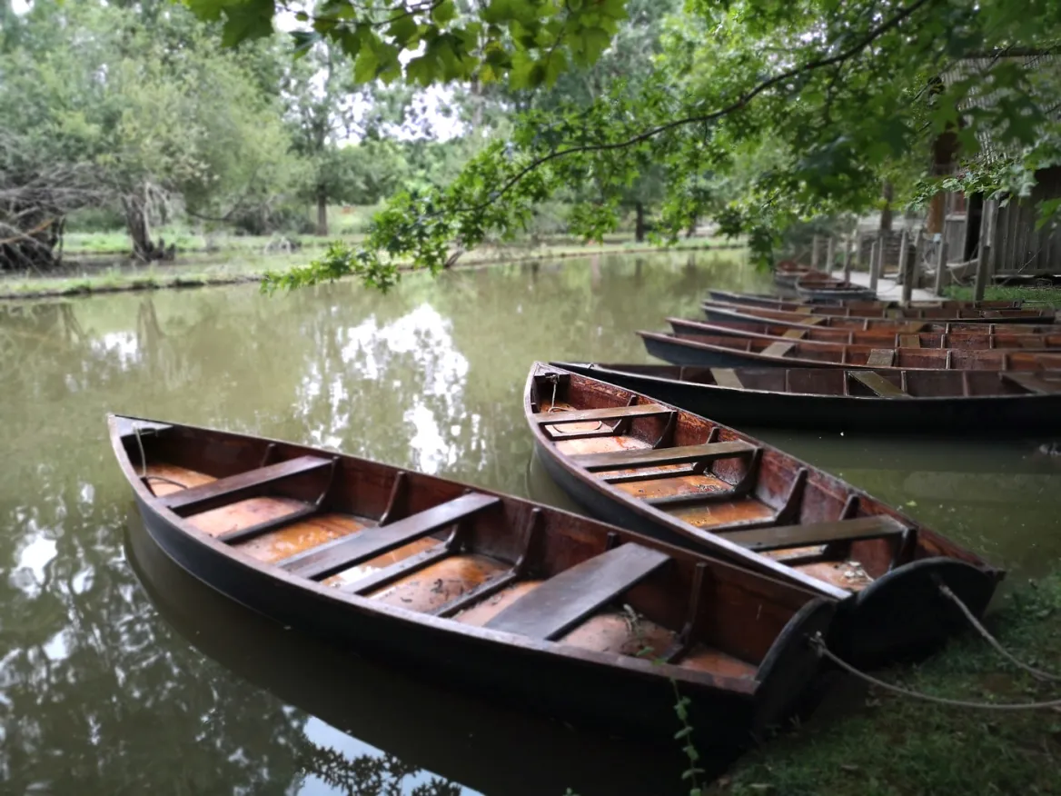 The boats of the bournat
