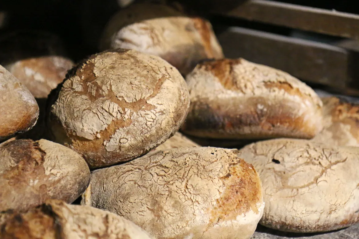 Baker of bournat