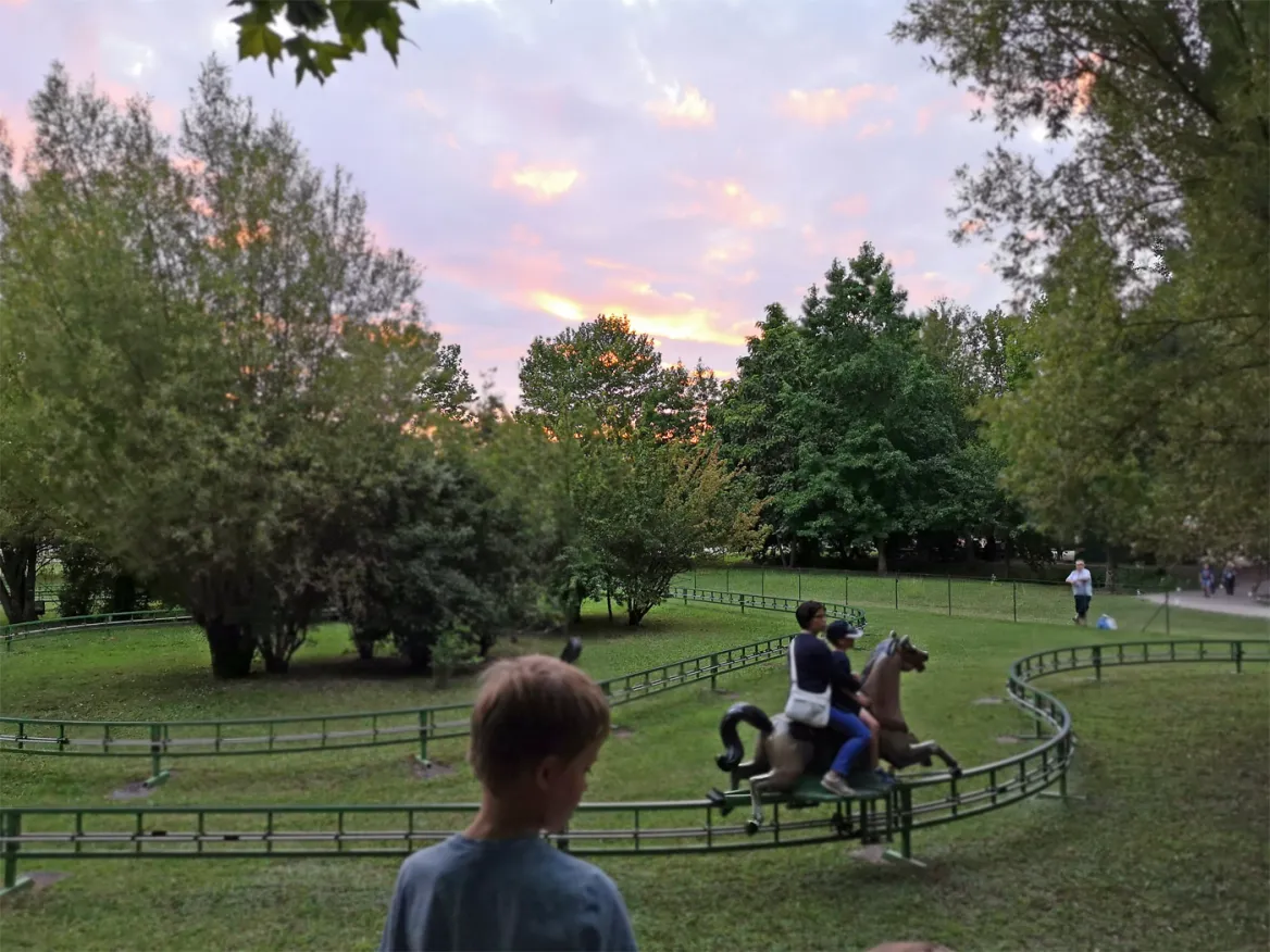 The wooden horses of the bournat