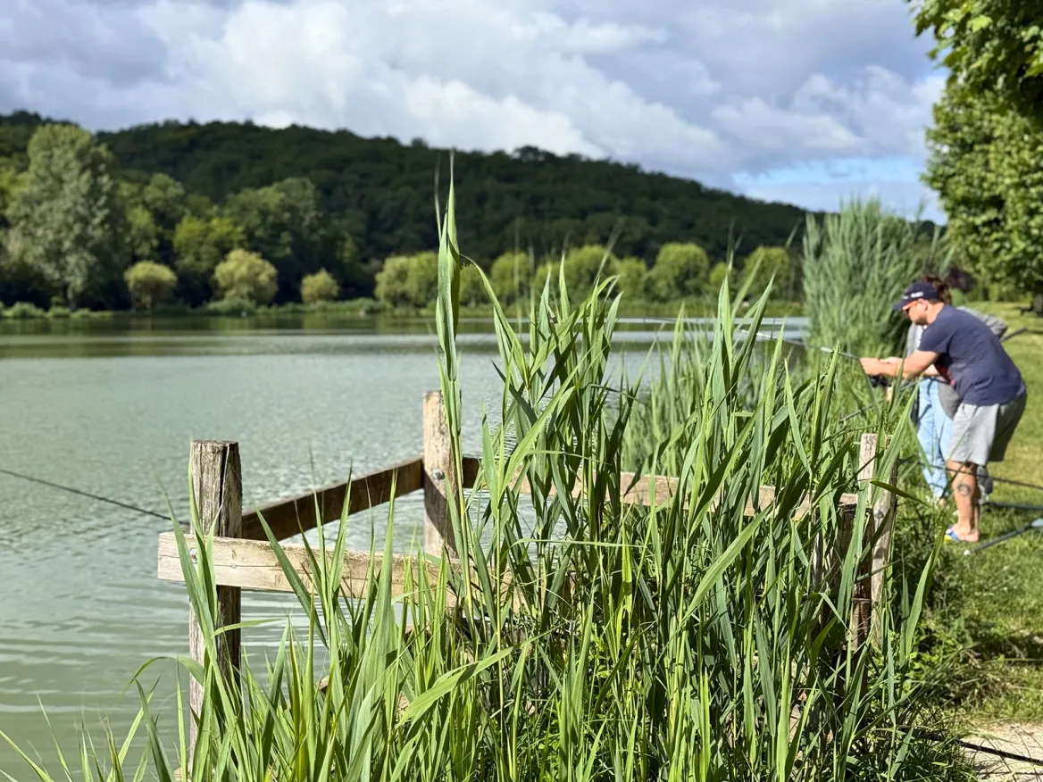 Étang de Tamniès pêche