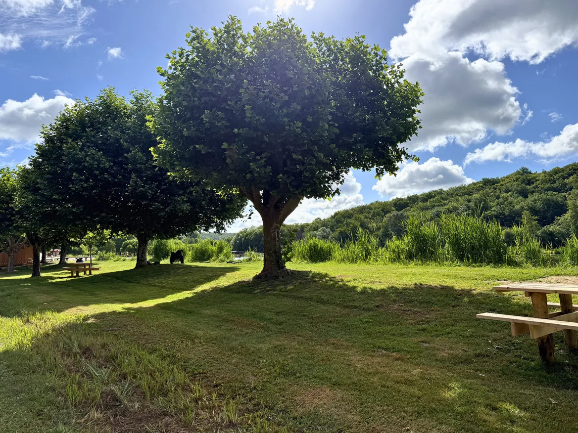 Étang de Tamniès