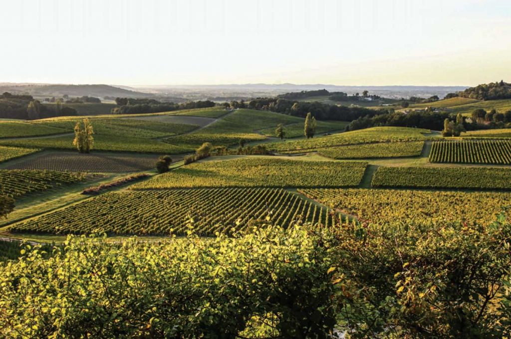 Le vignoble de Bergerac