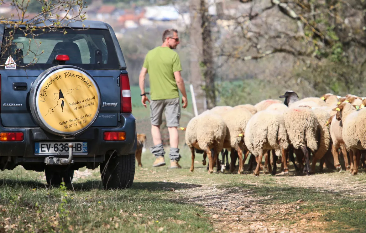 transhumance