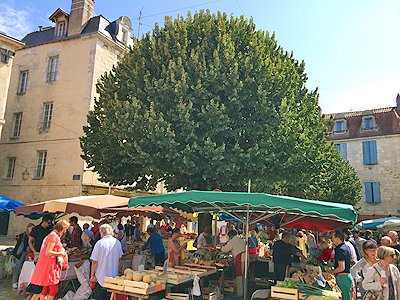 Périgueux market